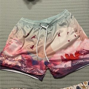 YoungLA Activewear Shorts Size L